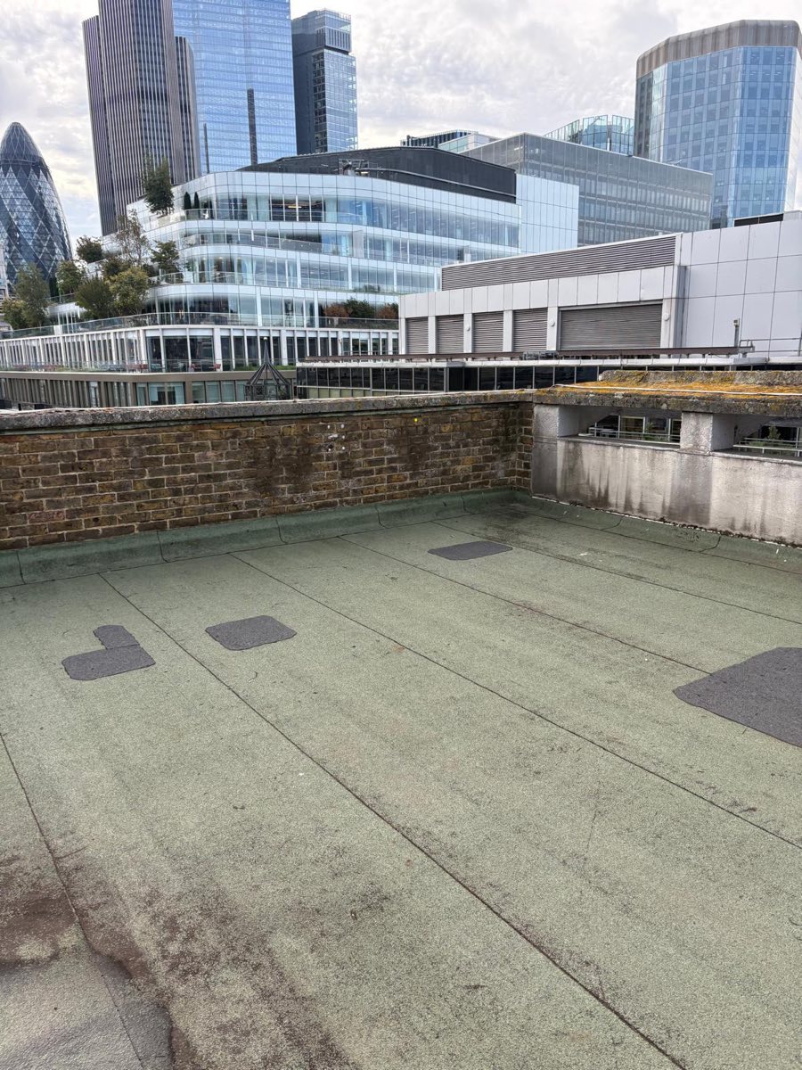 Rooftop cleared by JWL with the London skyline behind